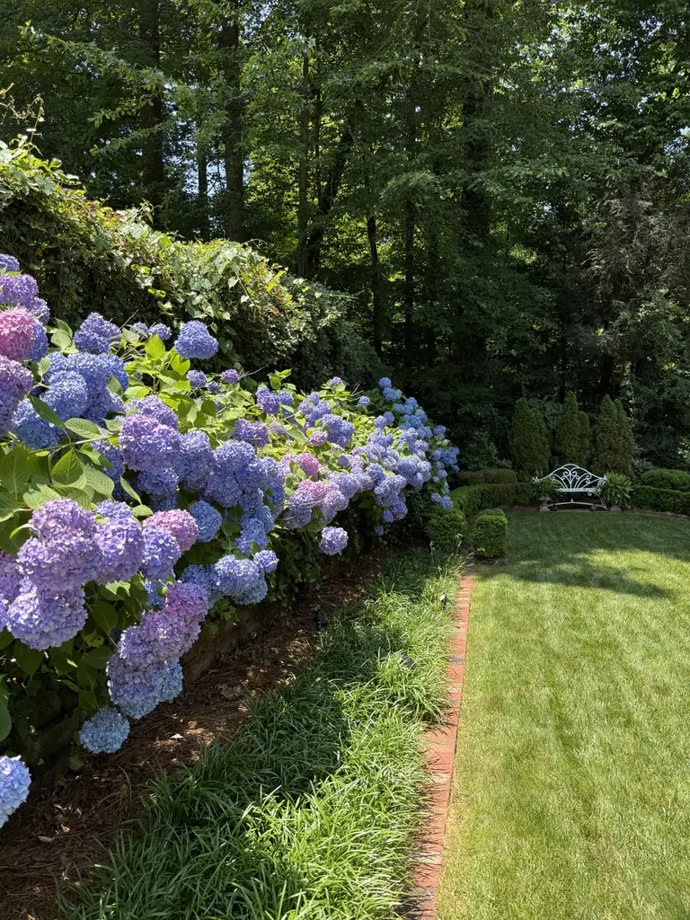 Choosing a commercial landscaping company in Winston-Salem NC