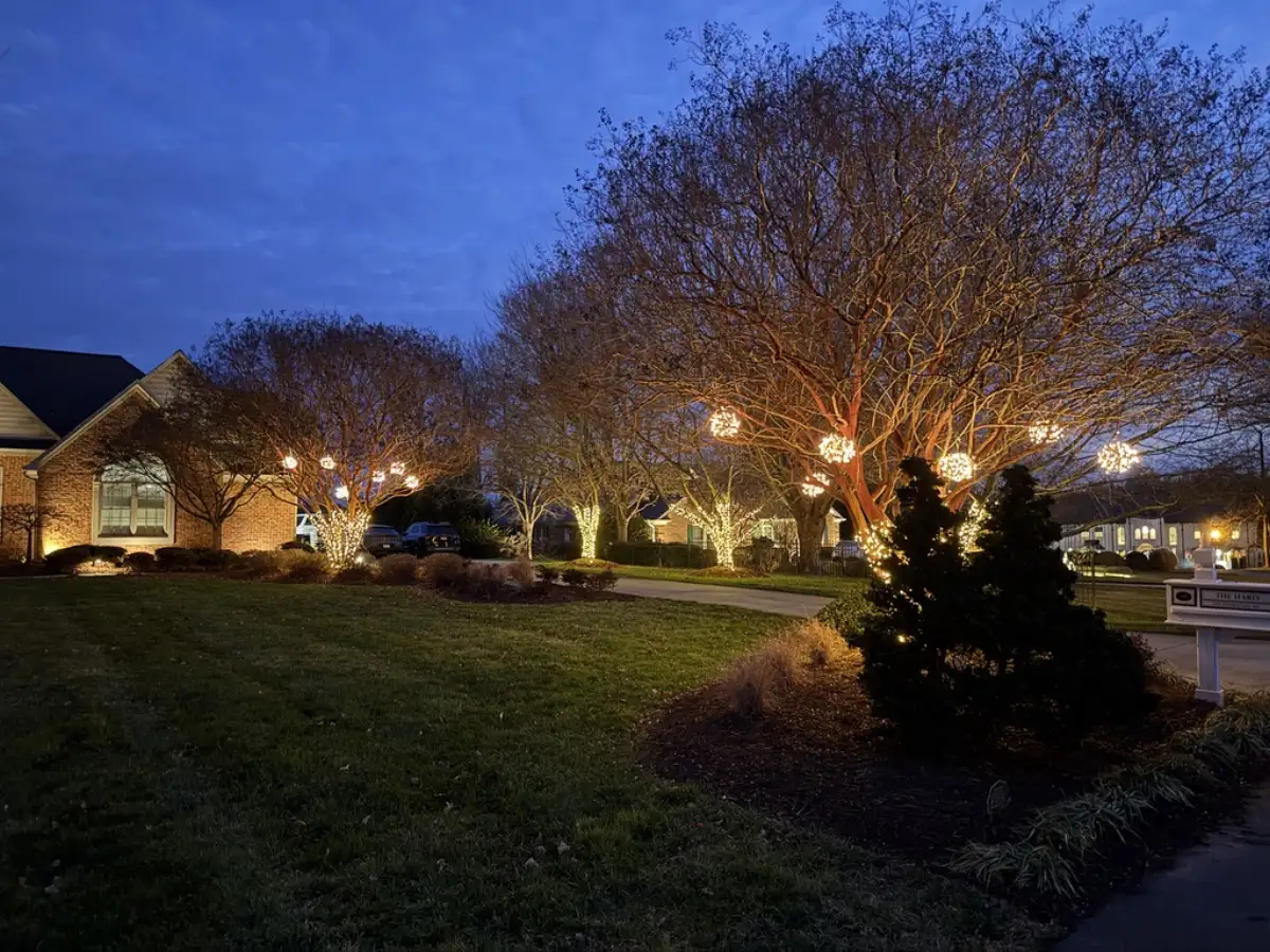 Holiday tree wrapping and light balls installed on neighborhood common area