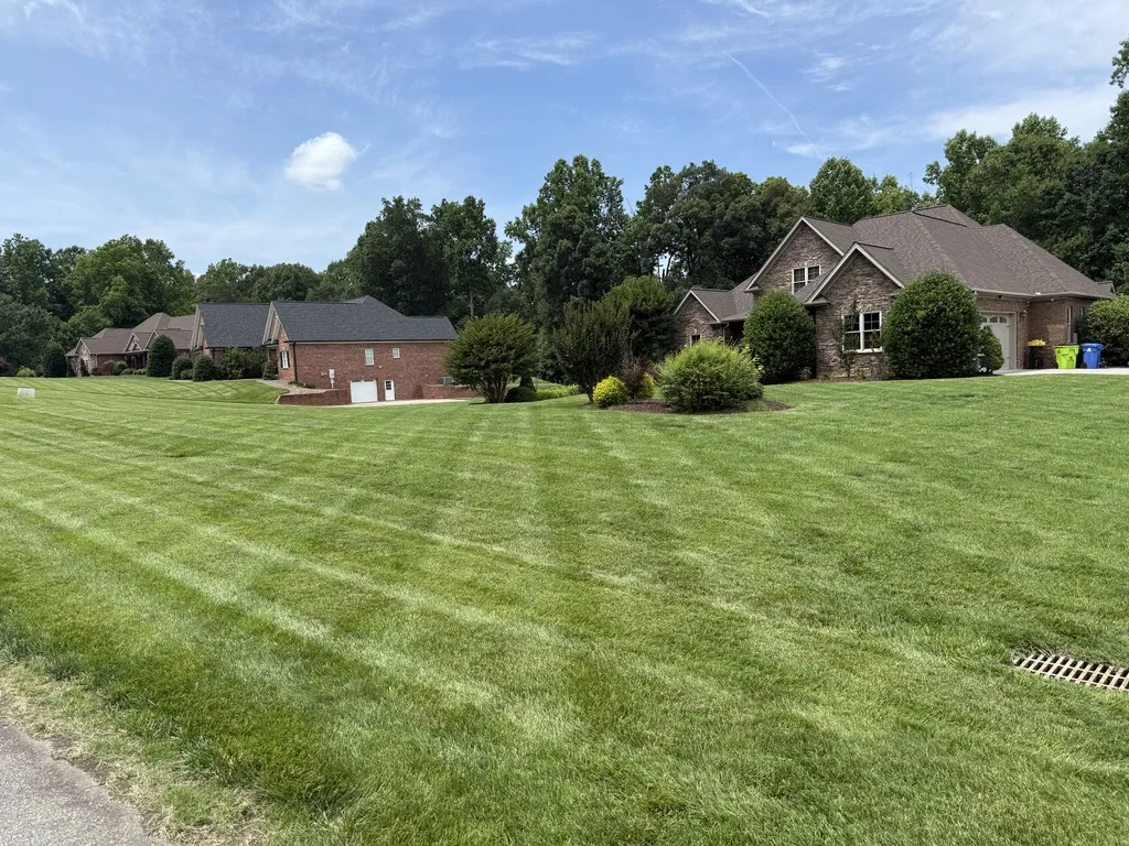 Commercial lawn care and mowing service in Winston-Salem NC