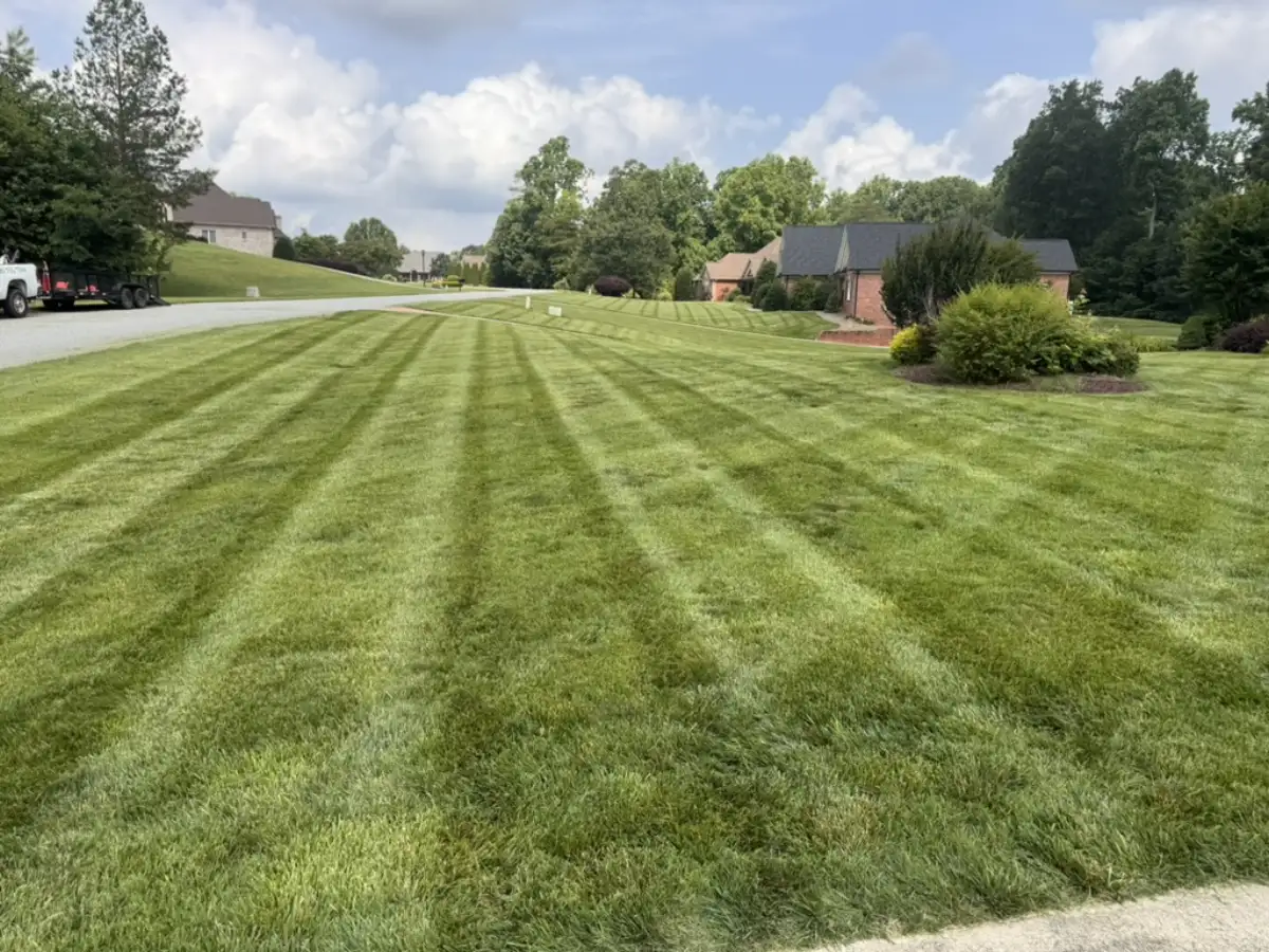 Professional lawn mowing with clean stripes